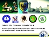 subbuteoto-interregionale-nord-2014-001